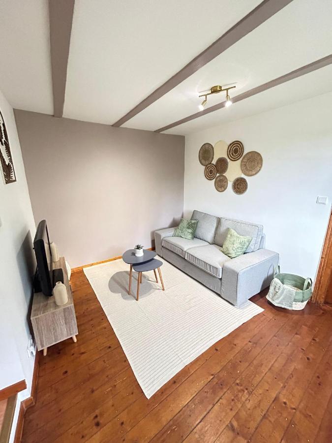 Le Cocon Du Vignoble - Free Wifi - Netflix Daire Turckheim Dış mekan fotoğraf