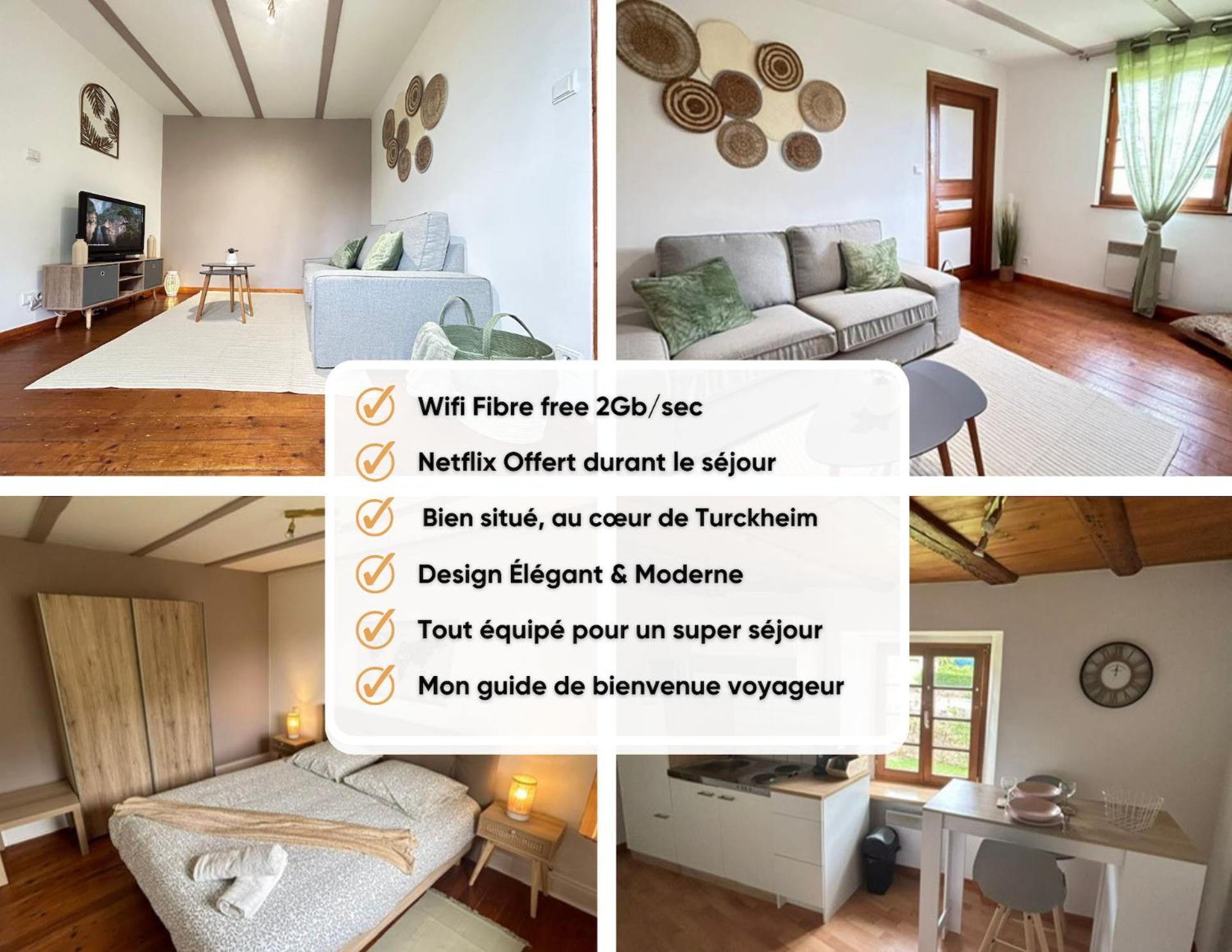 Le Cocon Du Vignoble - Free Wifi - Netflix Daire Turckheim Dış mekan fotoğraf